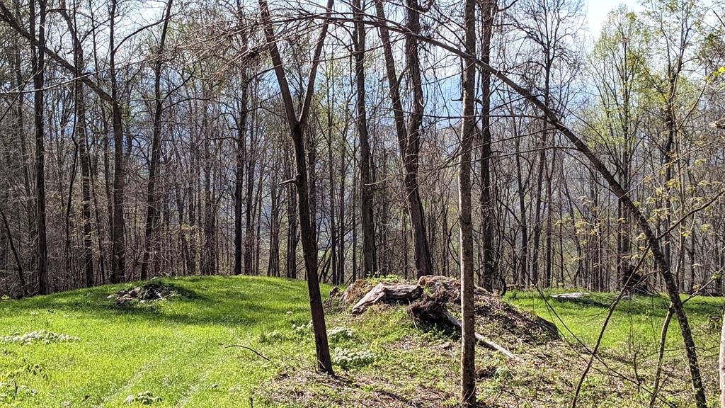 Franklin, North Carolina, 28734, United States, 2 Bedrooms Bedrooms, ,1 BathroomBathrooms,Residential,Active,1810496