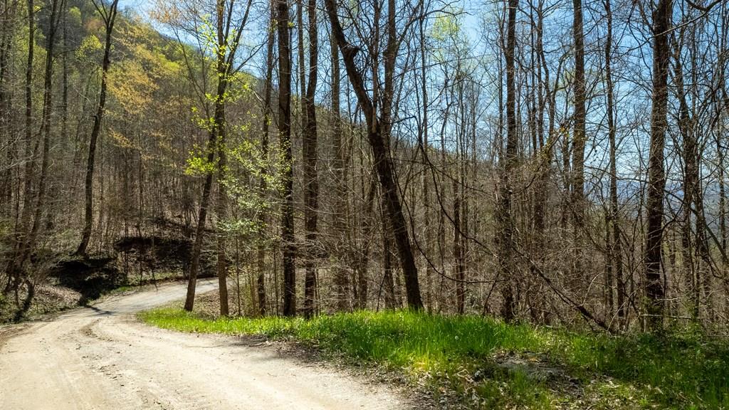 Franklin, North Carolina, 28734, United States, 2 Bedrooms Bedrooms, ,1 BathroomBathrooms,Residential,Active,1810496