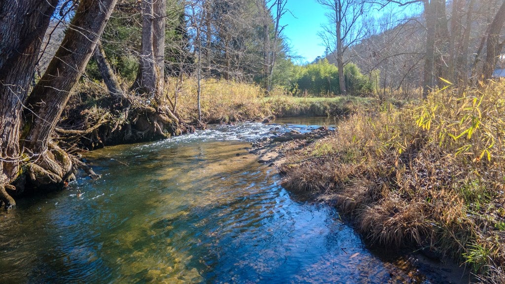 Otto, North Carolina, 28763, United States, 4 Bedrooms Bedrooms, ,6 BathroomsBathrooms,Residential,Active,2007240