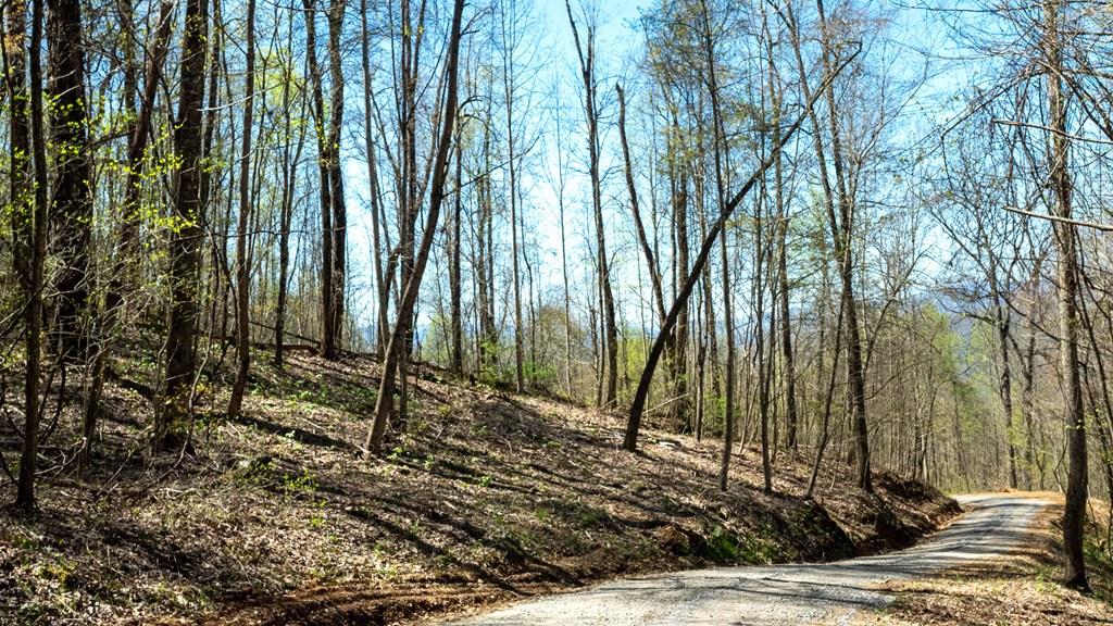 Franklin, North Carolina, 28734, United States, 2 Bedrooms Bedrooms, ,1 BathroomBathrooms,Residential,Active,1810496