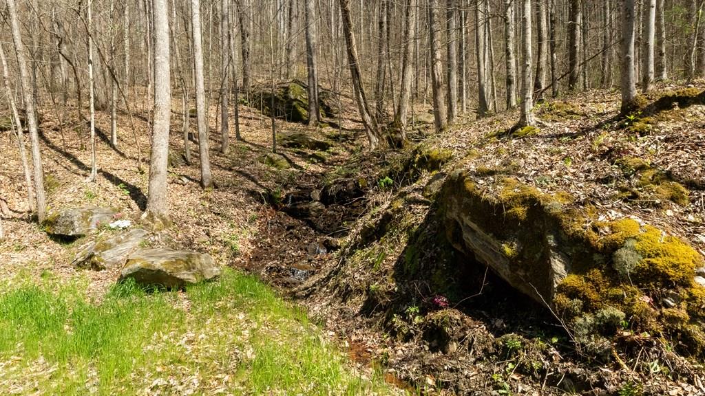 Franklin, North Carolina, 28734, United States, 2 Bedrooms Bedrooms, ,1 BathroomBathrooms,Residential,Active,1810496