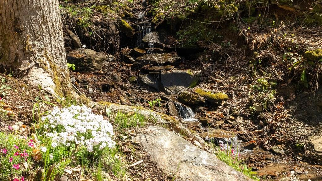 Franklin, North Carolina, 28734, United States, 2 Bedrooms Bedrooms, ,1 BathroomBathrooms,Residential,Active,1810496