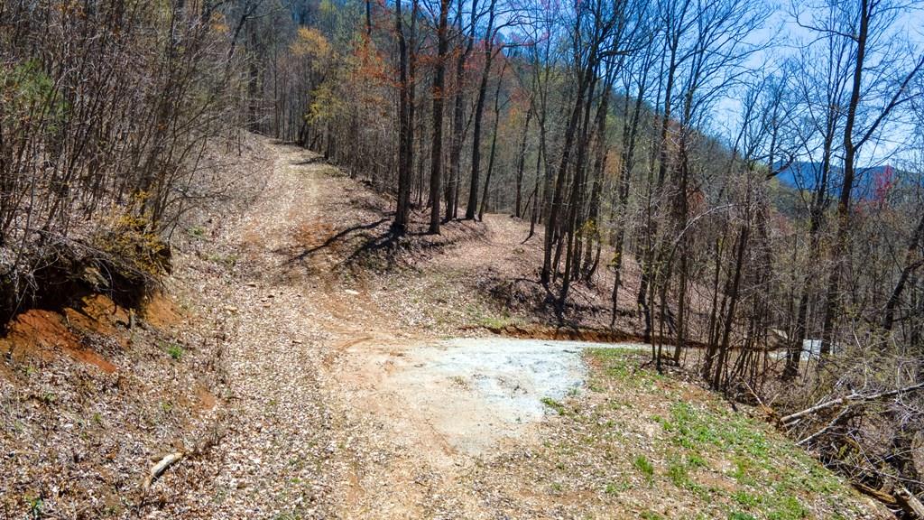 Franklin, North Carolina, 28734, United States, 2 Bedrooms Bedrooms, ,1 BathroomBathrooms,Residential,Active,1810496