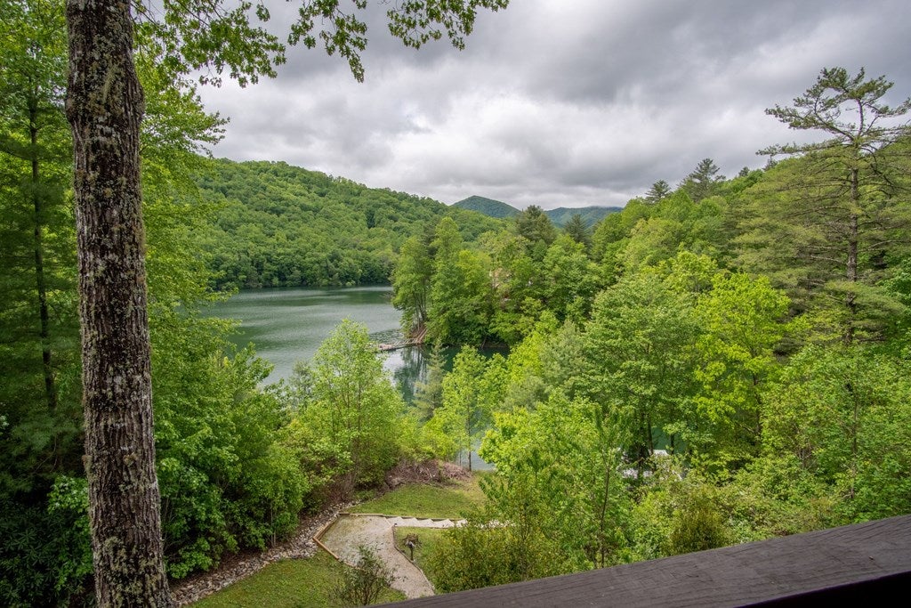 Topton, North Carolina, 28781, United States, 3 Bedrooms Bedrooms, ,4 BathroomsBathrooms,Residential,Active,2007166