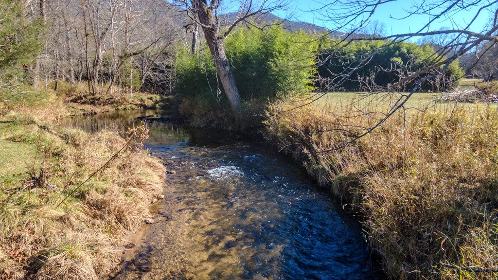 Otto, North Carolina, 28763, United States, 4 Bedrooms Bedrooms, ,6 BathroomsBathrooms,Residential,Active,2007240