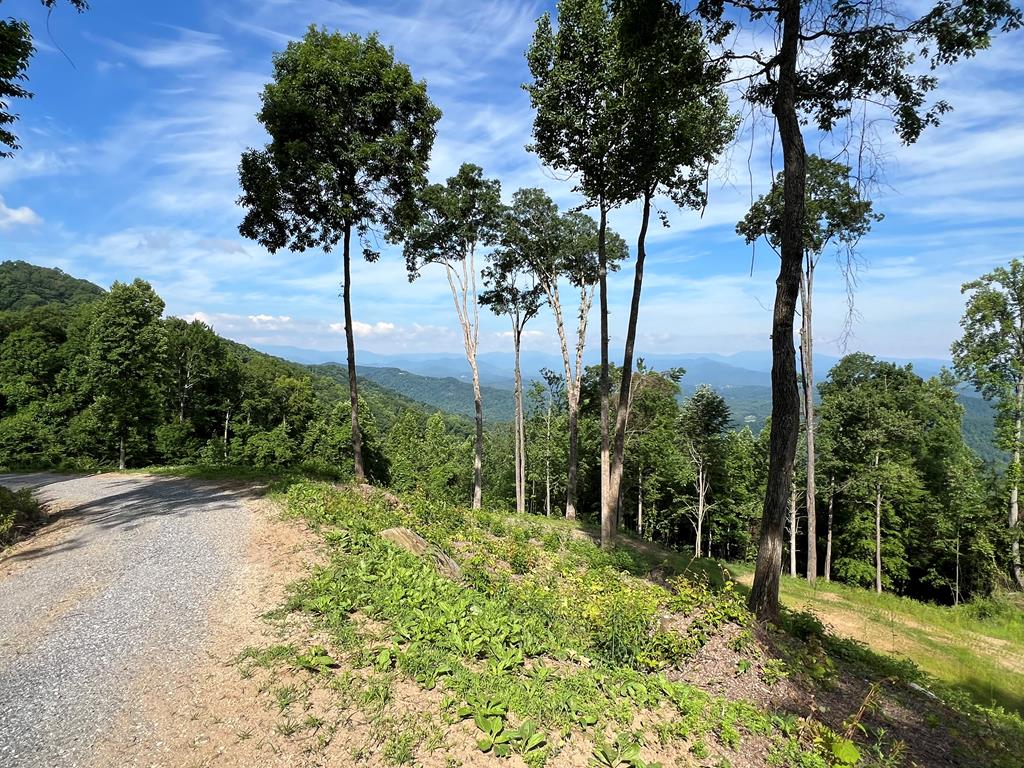 Franklin, North Carolina, 28734, United States, 2 Bedrooms Bedrooms, ,1 BathroomBathrooms,Residential,Active,1810496