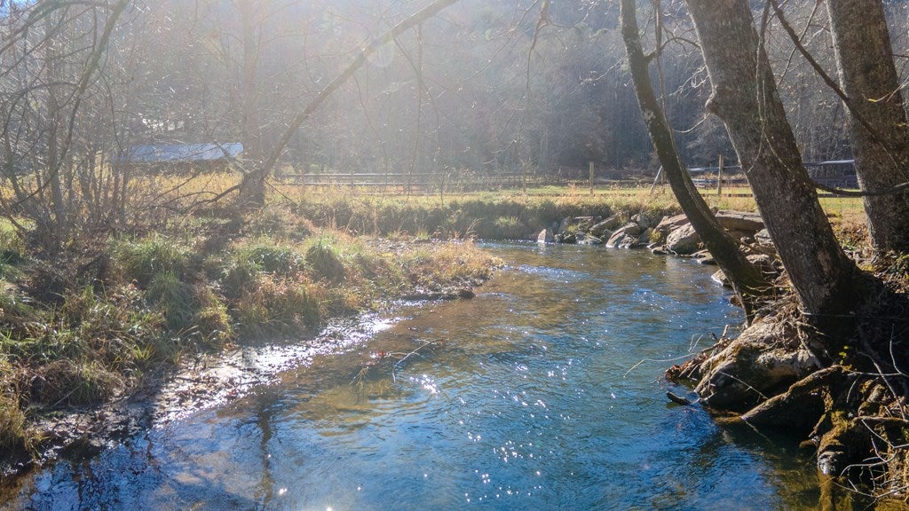 Otto, North Carolina, 28763, United States, 4 Bedrooms Bedrooms, ,6 BathroomsBathrooms,Residential,Active,2007240
