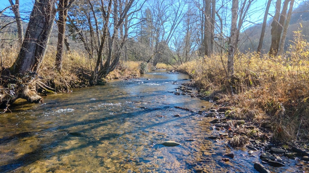 Otto, North Carolina, 28763, United States, 4 Bedrooms Bedrooms, ,6 BathroomsBathrooms,Residential,Active,2007240