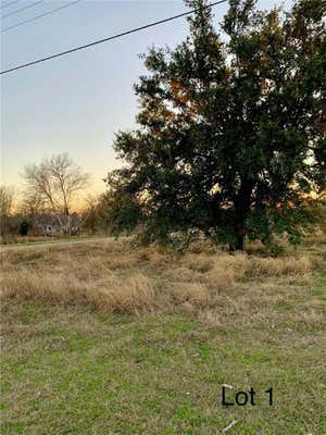 305 N 4TH ST, SKIDMORE, TX 78389 - Image 1