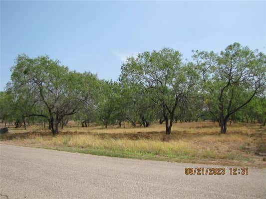 122 SWINNEY SWITCH DR, DINERO, TX 78368, photo 3 of 19