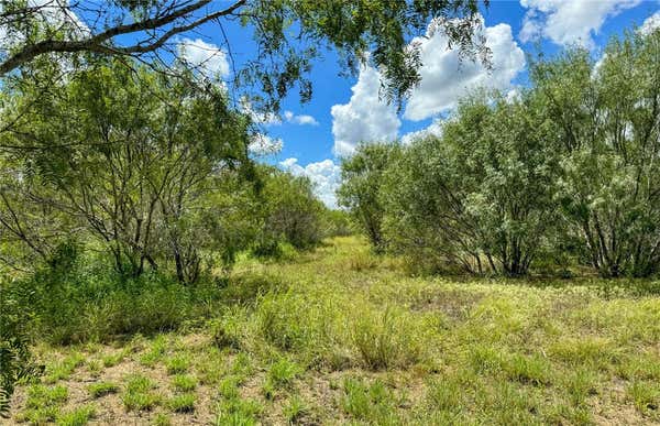 12858 HWY 72 HIGHWAY, PAWNEE, TX 78145 - Image 1