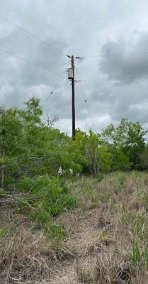 11600 HIGHWAY 359, SANDIA, TX 78383, photo 2 of 3