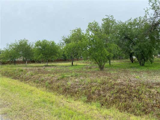 0 CEMETERY, SINTON, TX 78387 - Image 1