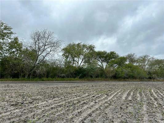 TBD FM 1349, SKIDMORE, TX 78389, photo 4 of 13