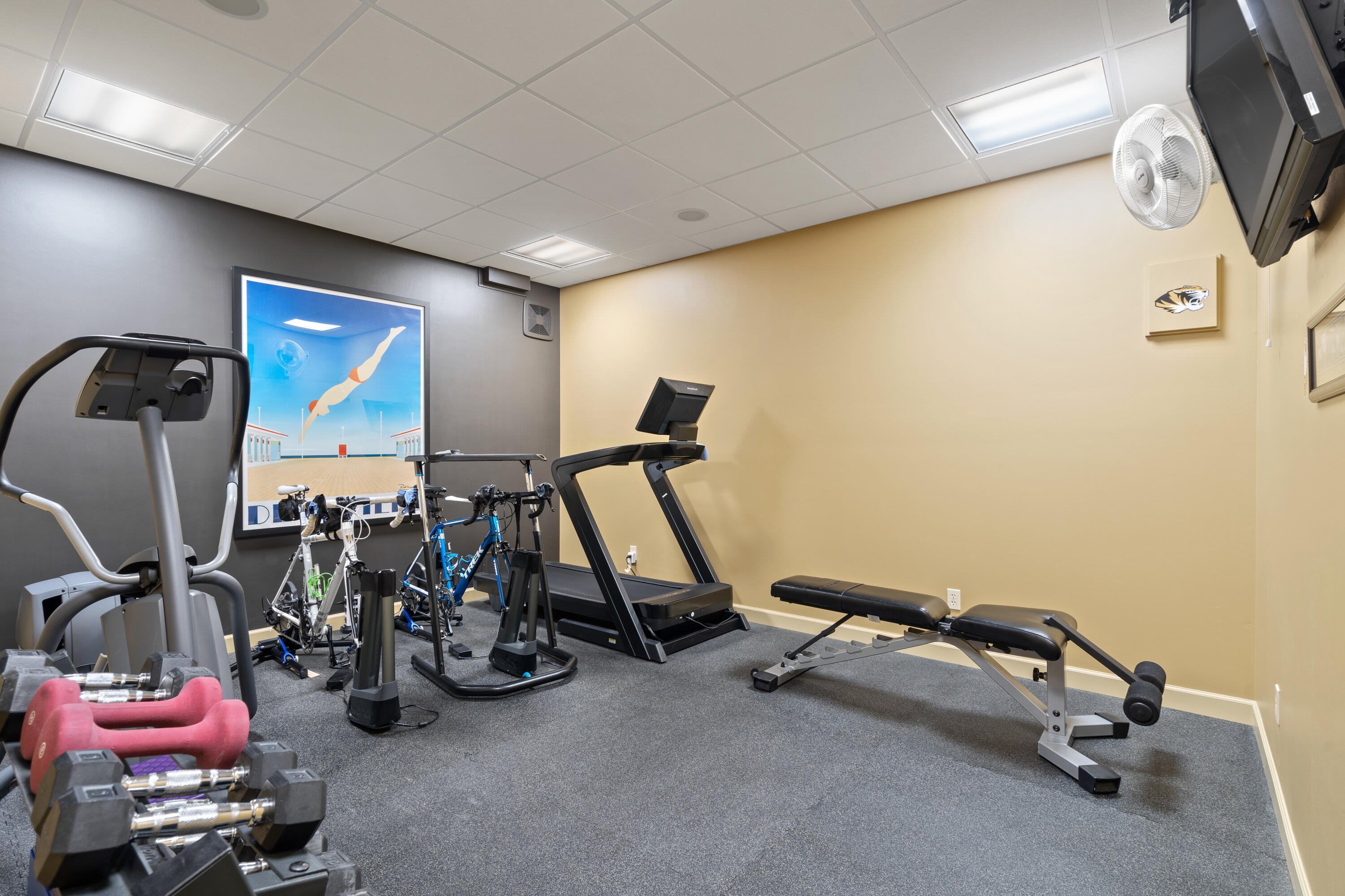 Columbia, Missouri, 65201, United States, 4 Bedrooms Bedrooms, ,4 BathroomsBathrooms,Residential,Active,1944067