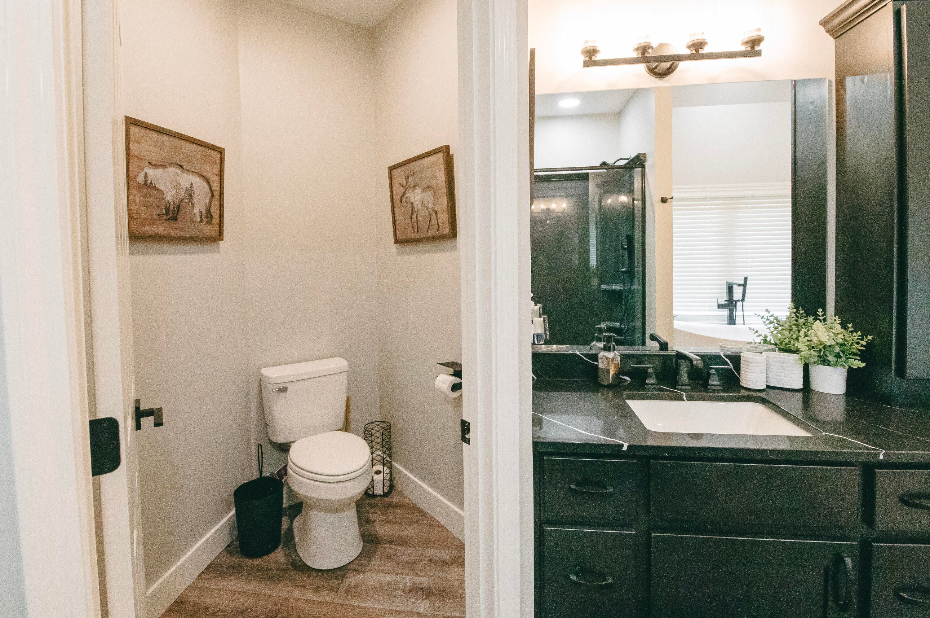 Columbia, Missouri, 65201, United States, 5 Bedrooms Bedrooms, ,5 BathroomsBathrooms,Residential,Active,1990615