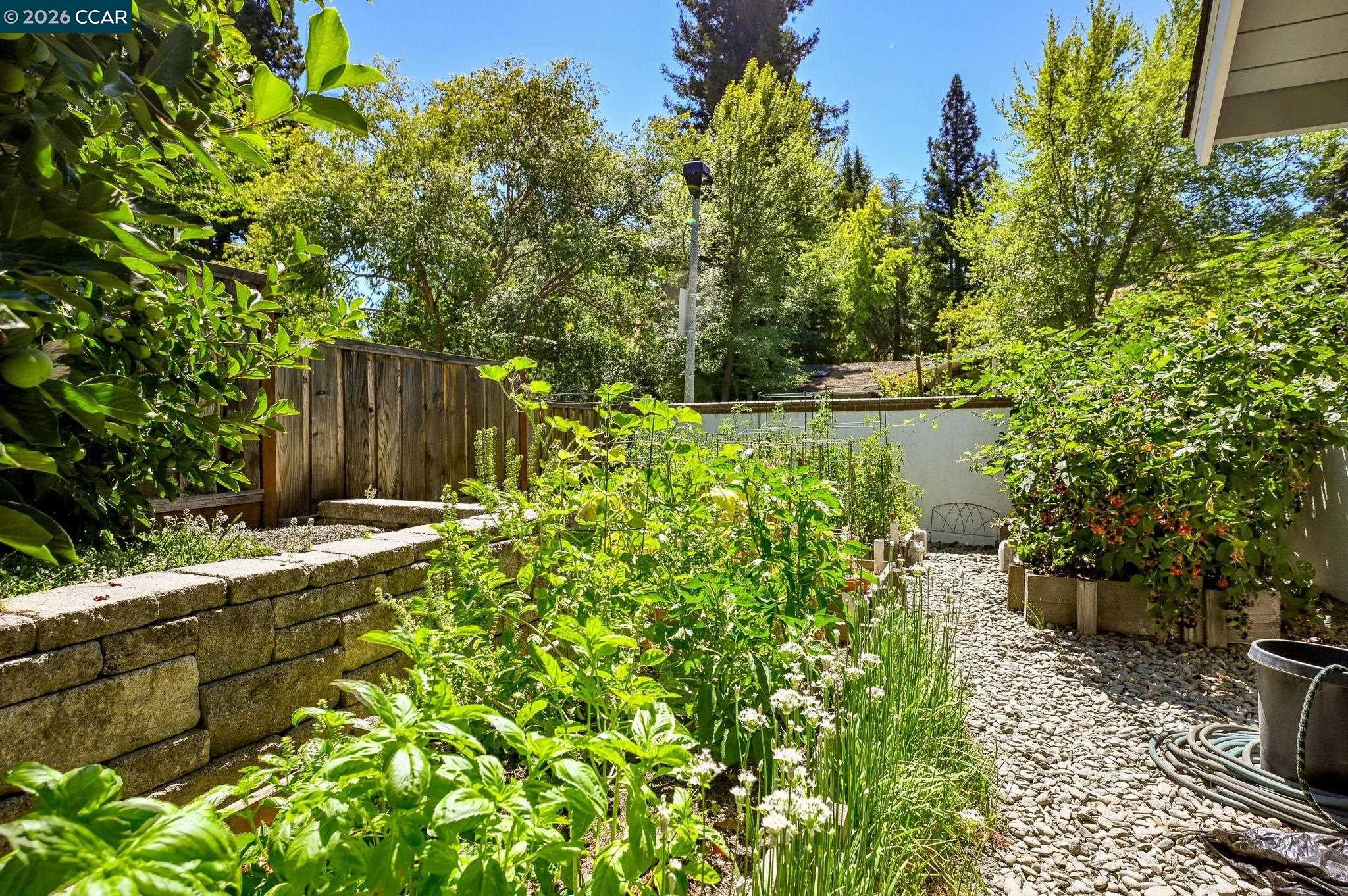 Alamo, California, 94507, United States, 4 Bedrooms Bedrooms, ,4 BathroomsBathrooms,Residential,Active,2009393