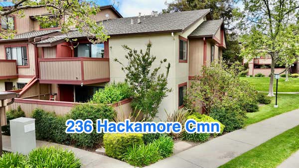 236 HACKAMORE CMN, FREMONT, CA 94539 - Image 1