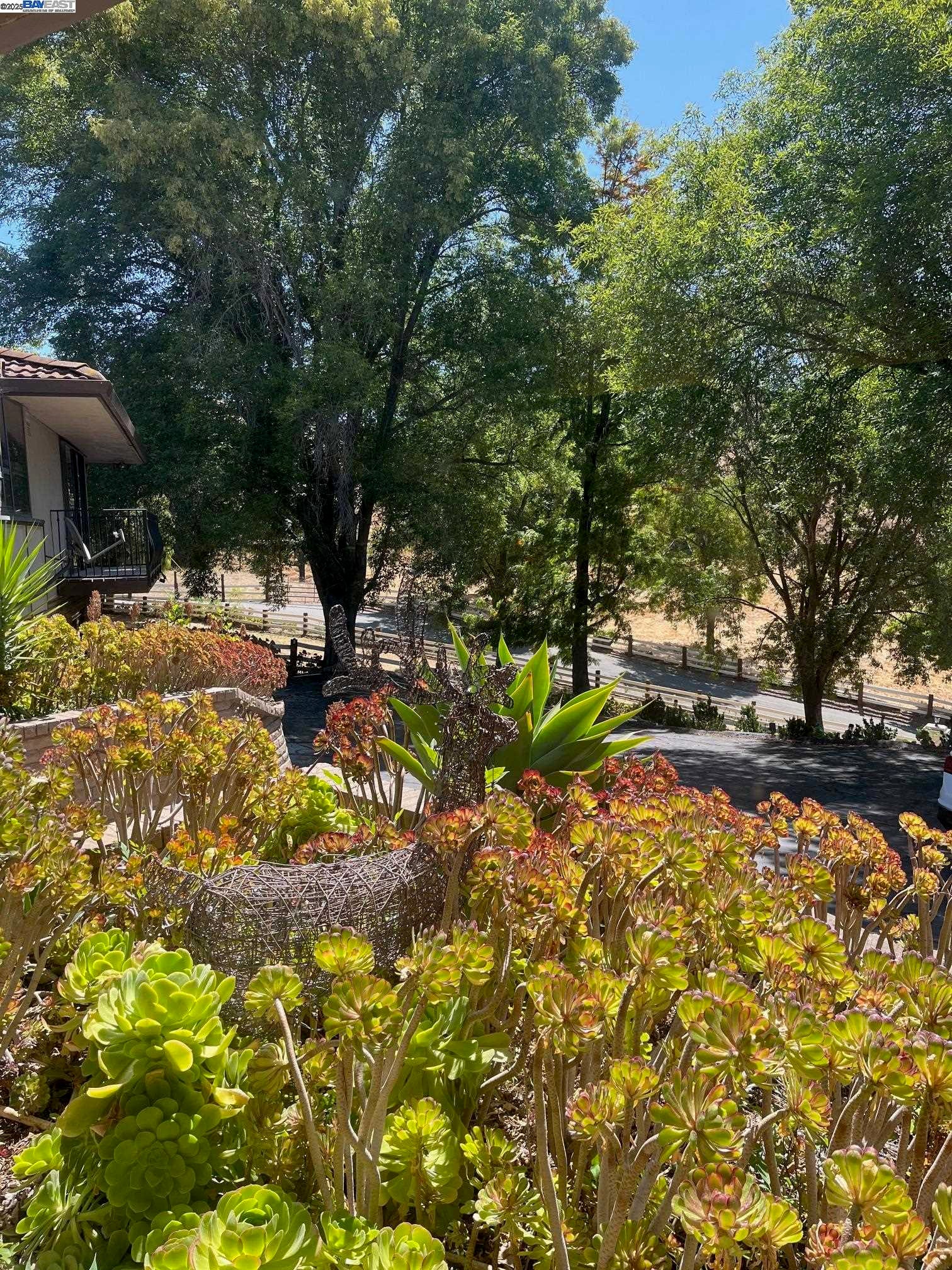 Fremont, California, 94539, United States, 4 Bedrooms Bedrooms, ,3 BathroomsBathrooms,Residential,Active,1820313
