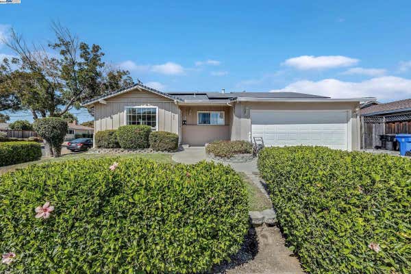 4595 HILO ST, FREMONT, CA 94538 - Image 1