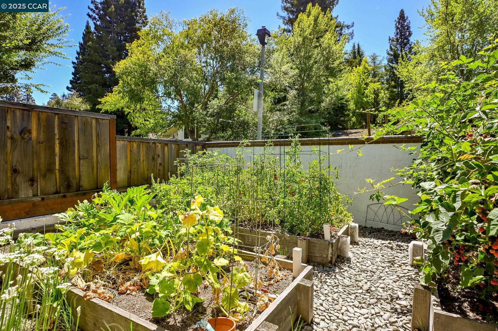 Alamo, California, 94507, United States, 4 Bedrooms Bedrooms, ,4 BathroomsBathrooms,Residential,Active,1913946