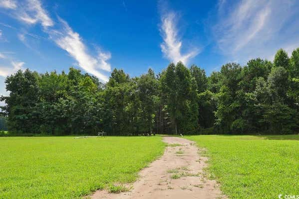 TBD SPRING BRANCH RD., NICHOLS, SC 29581 - Image 1