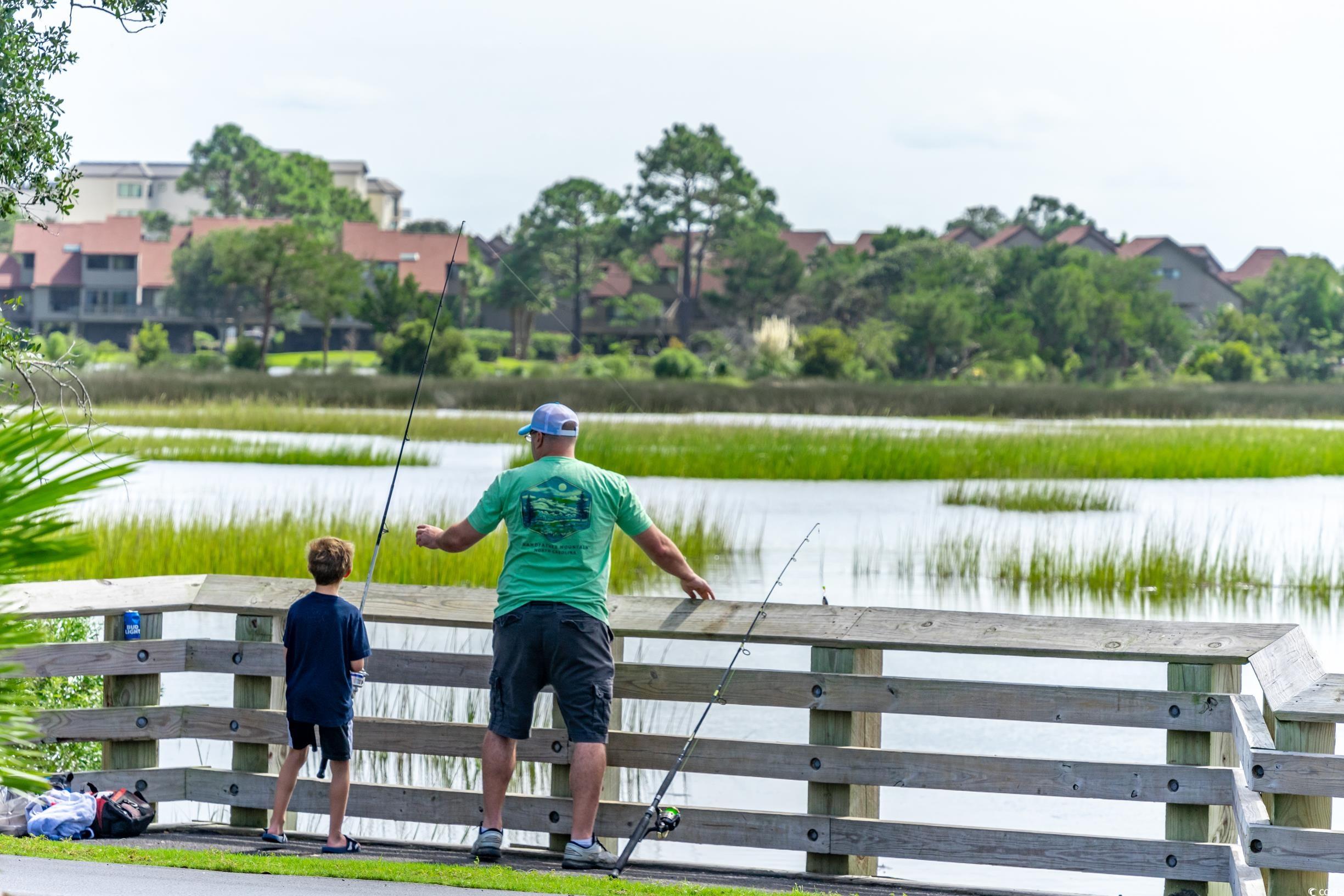Pawleys Island, South Carolina, 29585, United States, 4 Bedrooms Bedrooms, ,4 BathroomsBathrooms,Residential,Active,1952317