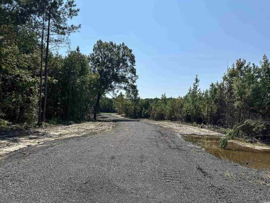 TBD SANTEE RD., ANDREWS, SC 29510 - Image 1