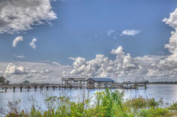 96 CITADEL PL, PAWLEYS ISLAND, SC 29585, photo 5 of 27