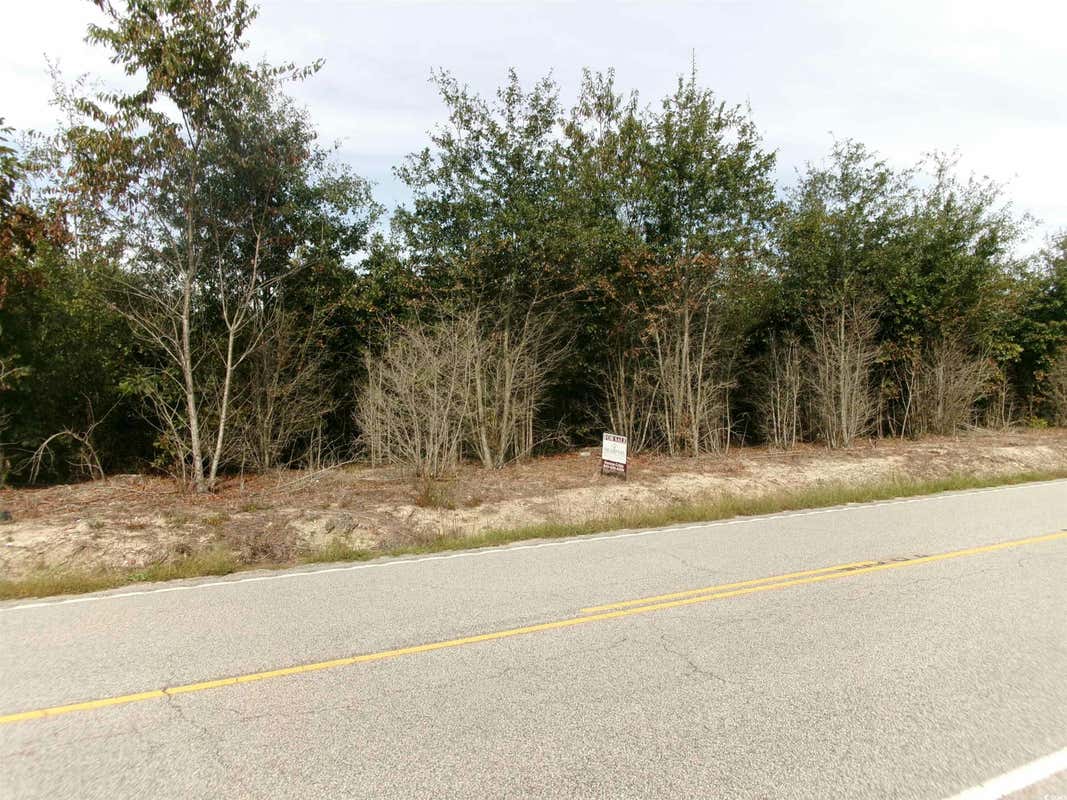 TBD DUDLEY RD., MARION, SC 29571, photo 1