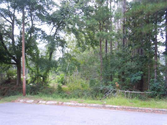 TBD PINE ST., TABOR CITY, NC 28463 - Image 1