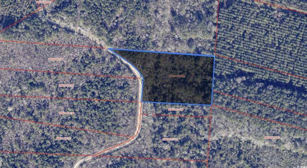 TBD NEW PINE RD., JOHNSONVILLE, SC 29555 - Image 1