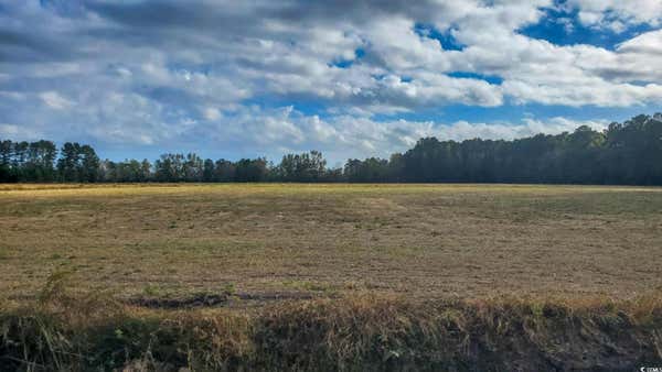 TBD 2 HIGHWAY 366, CONWAY, SC 29526 - Image 1