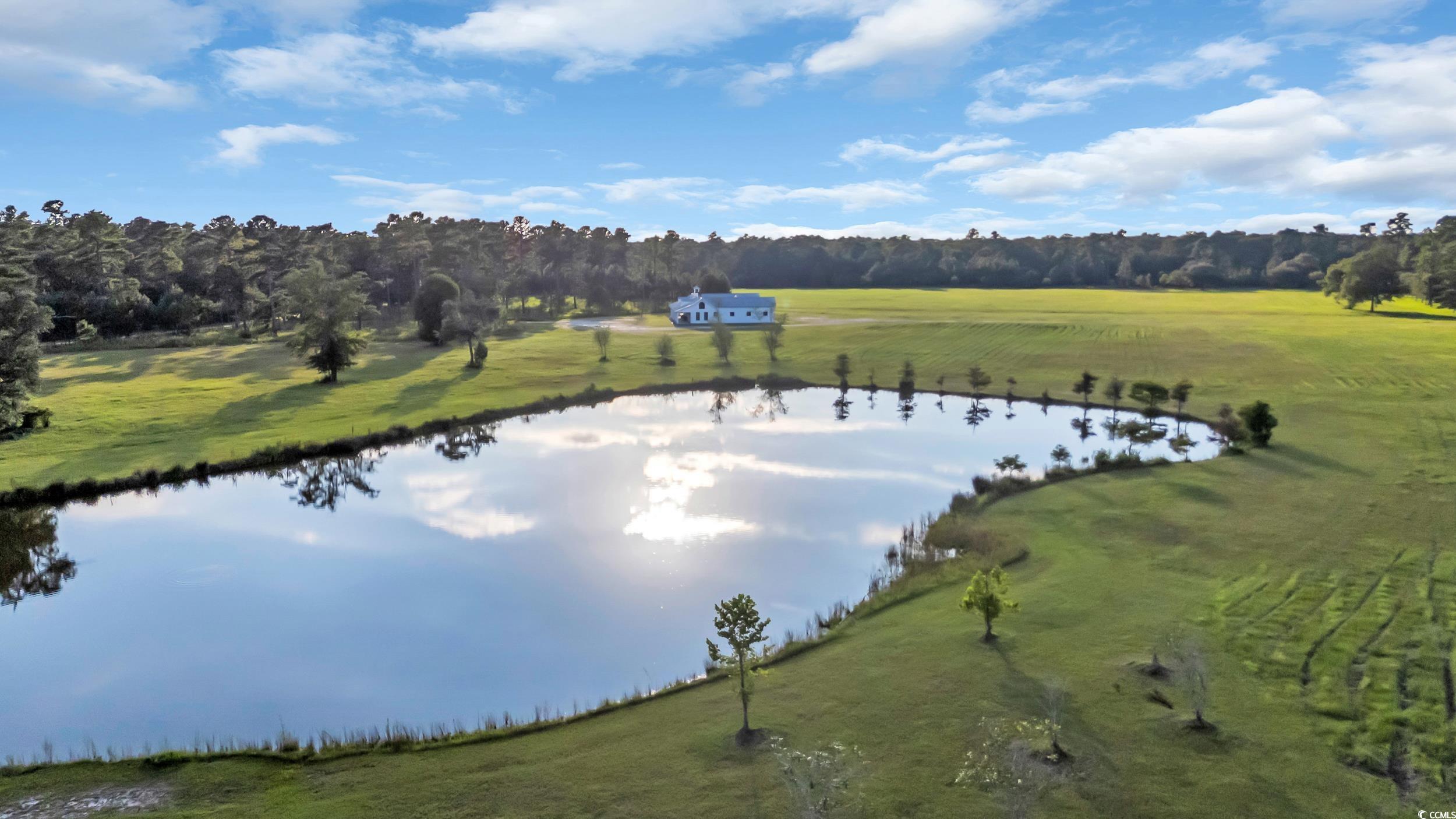 Georgetown, South Carolina, 29440, United States, 5 Bedrooms Bedrooms, ,9 BathroomsBathrooms,Residential,Active,1953653