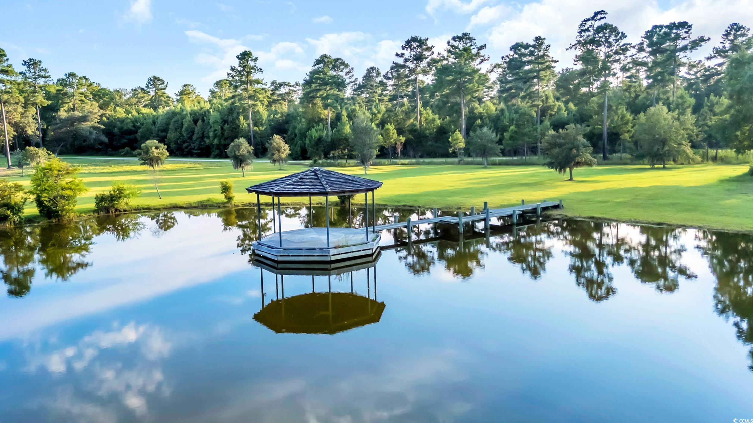 Georgetown, South Carolina, 29440, United States, 5 Bedrooms Bedrooms, ,9 BathroomsBathrooms,Residential,Active,1953653