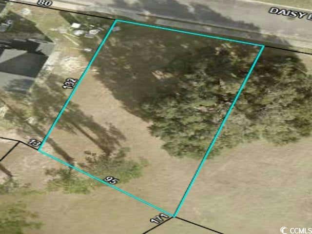 LOT 12 DAISY BANK CIRCLE, GEORGETOWN, SC 29440, photo 1