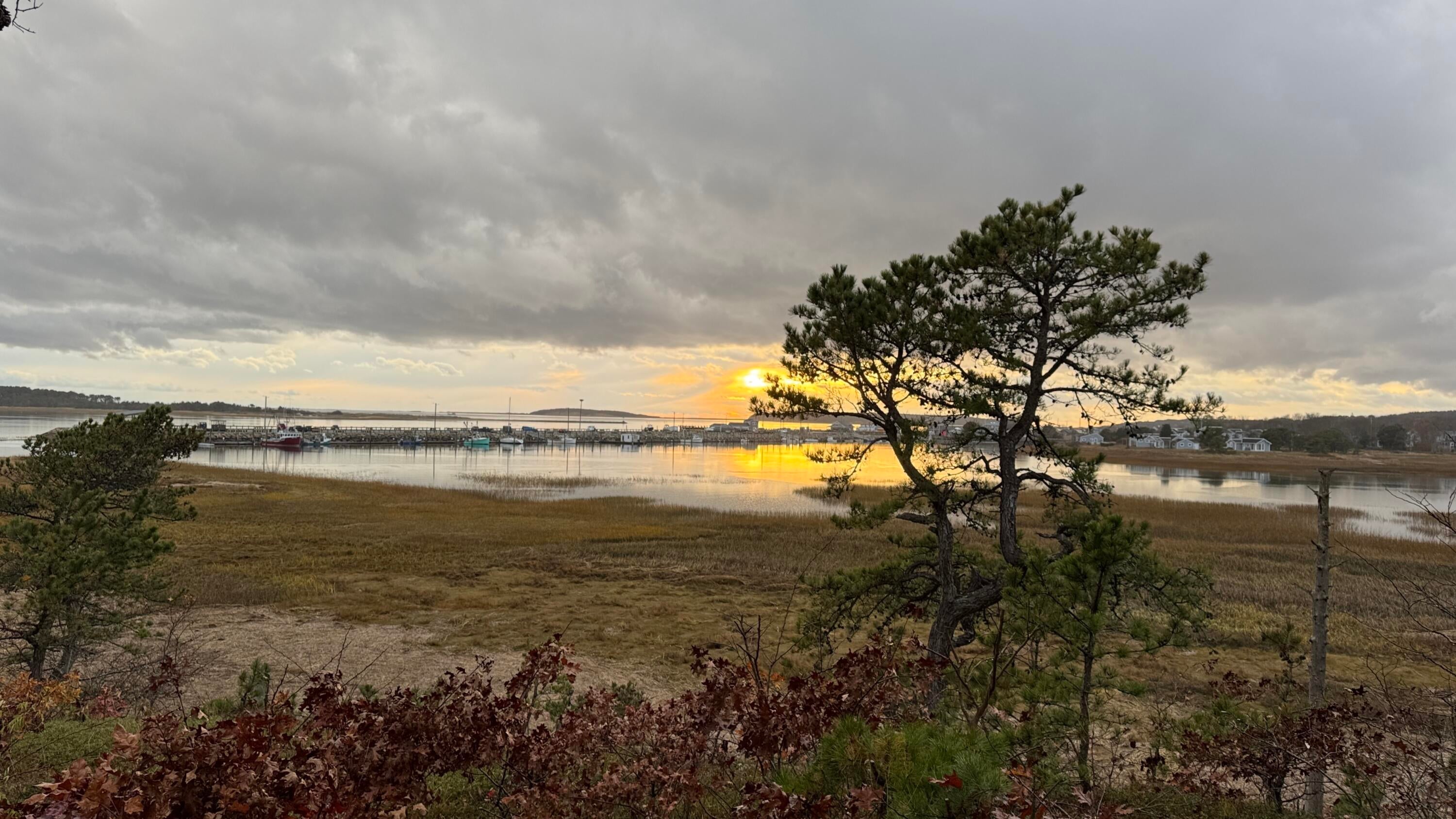 Wellfleet, Massachusetts, 02667, United States, 4 Bedrooms Bedrooms, ,4 BathroomsBathrooms,Residential,Active,1998757