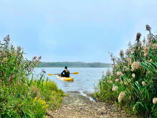 61 BEACH RD, WEST YARMOUTH, MA 02673 - Image 1