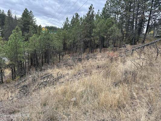 NKA TOETLY RD, PLUMMER, ID 83851 - Image 1