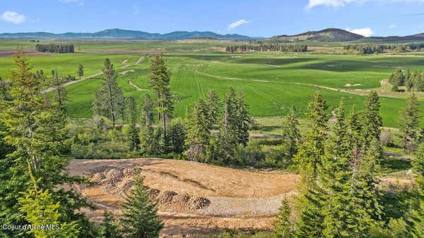 LOT 2 LONE MOOSE DR, PLUMMER, ID 83851 - Image 1