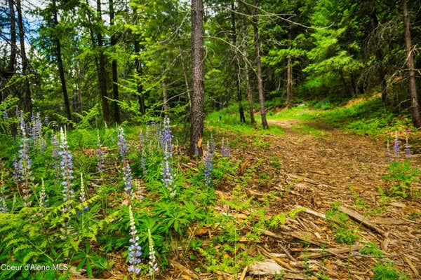 TBD KREIGER CREEK RD., CAREYWOOD, ID 83809 - Image 1