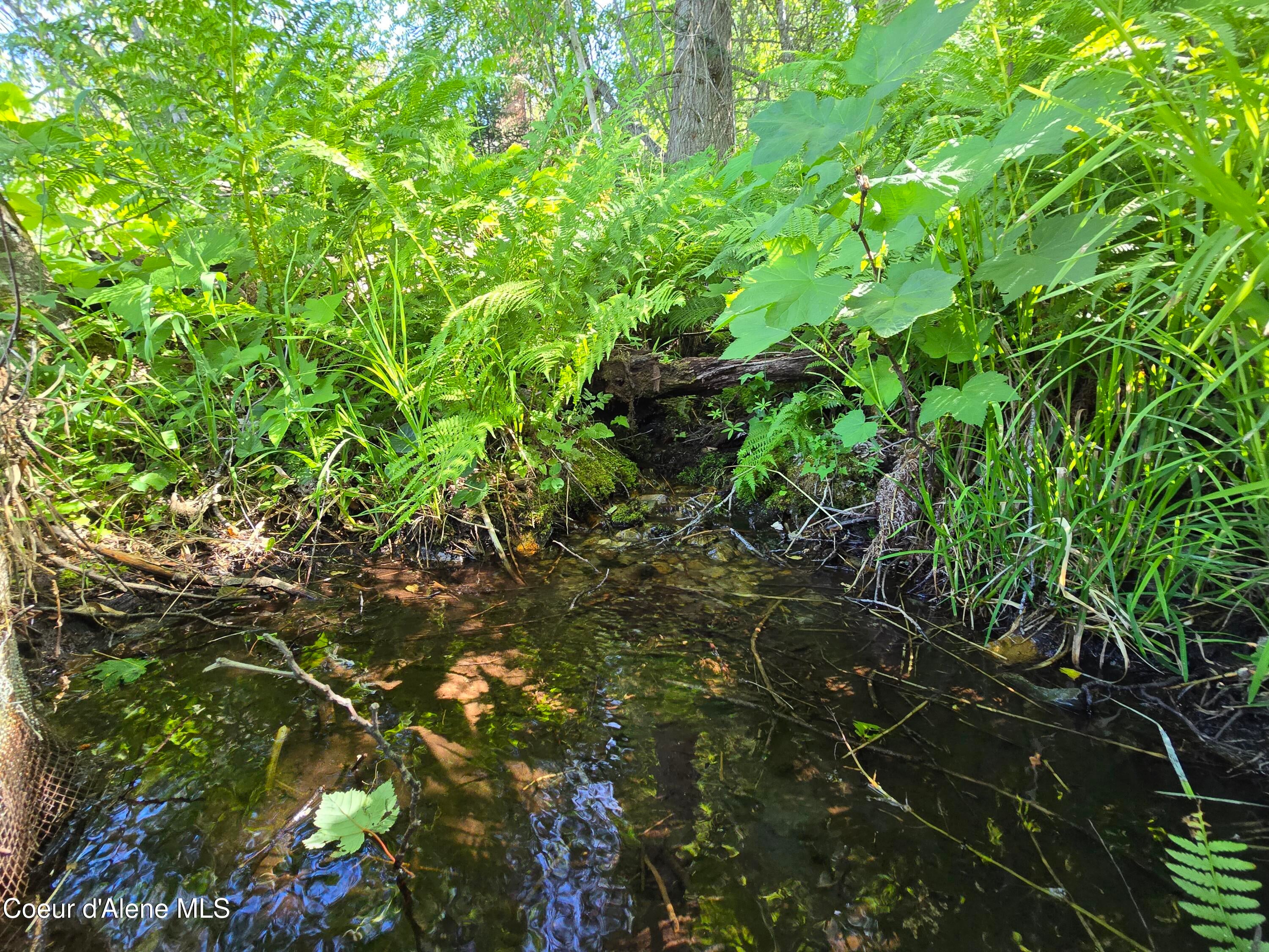Hope, Idaho, 83836, United States, 3 Bedrooms Bedrooms, ,2 BathroomsBathrooms,Residential,Active,1778763