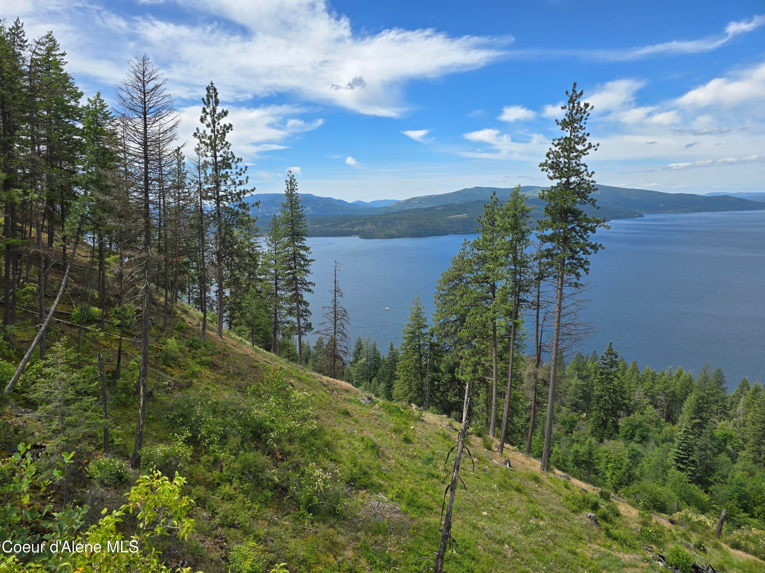 Hope, Idaho, 83836, United States, 3 Bedrooms Bedrooms, ,2 BathroomsBathrooms,Residential,Active,1778763