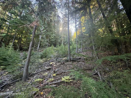 NNA RUSTIC WAY, LOT 8, SPIRIT LAKE, ID 83869, photo 4 of 12