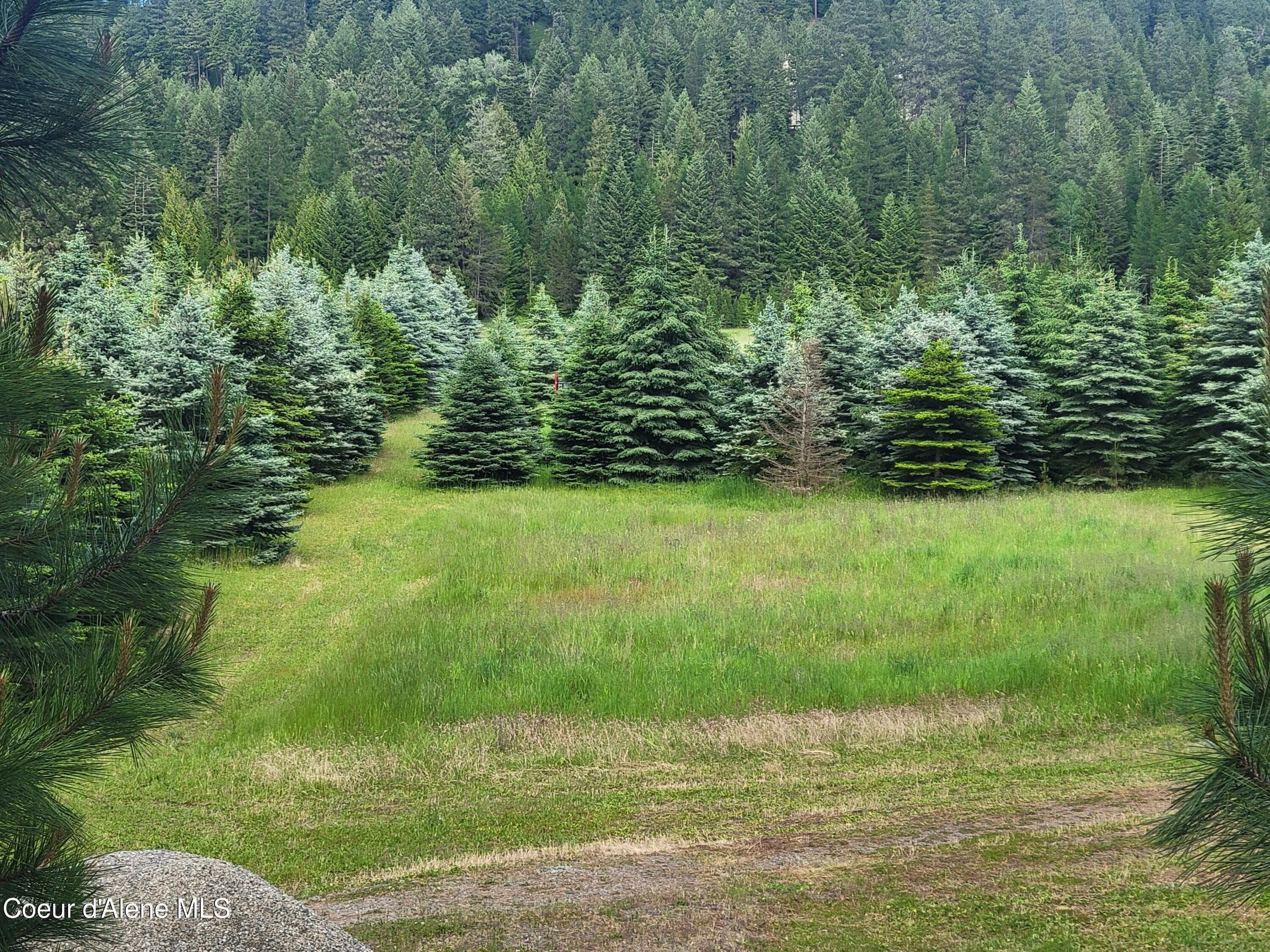 Bonners Ferry, Idaho, 83805, United States, ,4 BathroomsBathrooms,Residential,Active,1769461