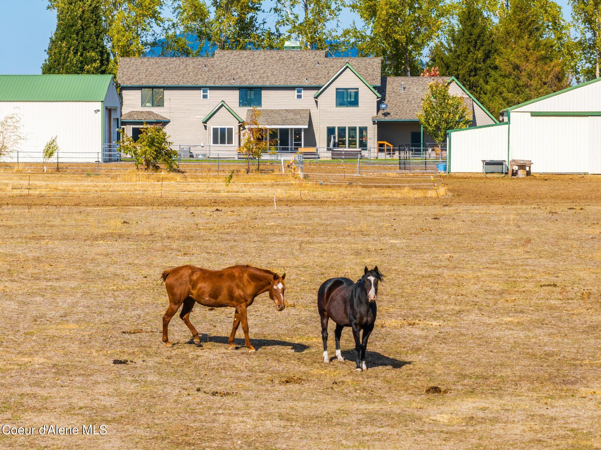 Rathdrum, Idaho, 83858, United States, 4 Bedrooms Bedrooms, ,4 BathroomsBathrooms,Residential,Active,1963415
