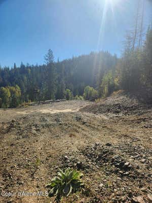 S FERN CREEK RD, CATALDO, ID 83810 - Image 1