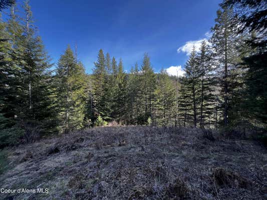 2.42 ACRES BEAR CREEK RD, KINGSTON, ID 83839 - Image 1