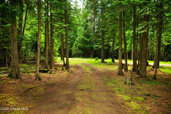 TBD KREIGER CREEK SOUTH PARCEL RD., CAREYWOOD, ID 83809 - Image 1