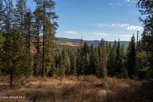 NNA GLACIER DR., ST. MARIES, ID 83861 - Image 1